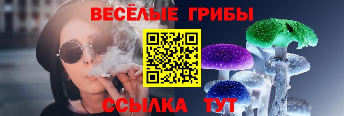 Красный Сулин  купить наркотики сайты  Вход с VPN  Псилоцибиновые грибы Magic Shrooms  Псилоцибиновые грибы Psilocybine cubensis 